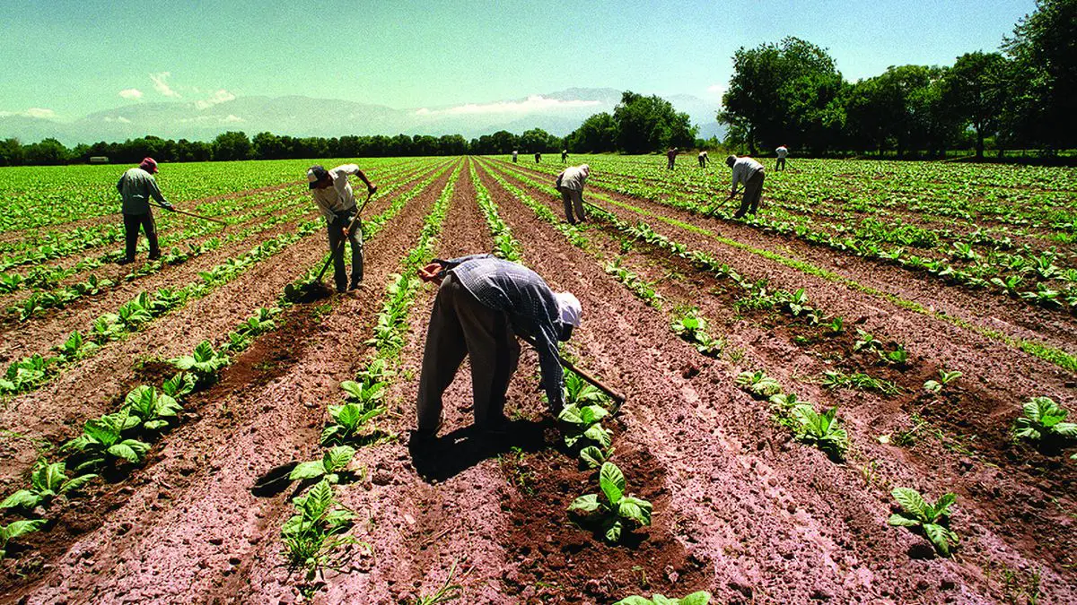 Jubilación trabajadores agrarios